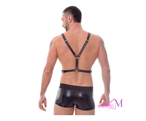Arnes Unisex Regulable - Eco Cuero Negro