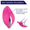 Wearable Panty Vibrator - App Francesca