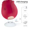 Midnight Rose Succionador Multifuncional Recargable Usb