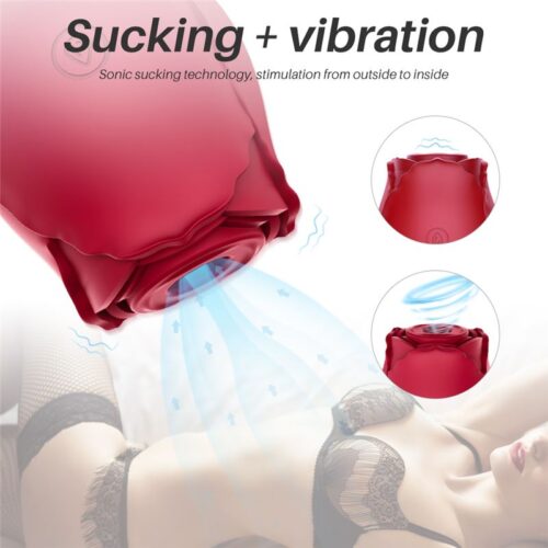 Midnight Rose Succionador Multifuncional Recargable Usb
