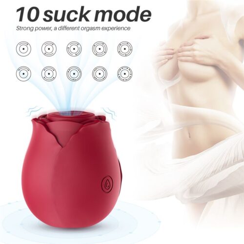 Midnight Rose Succionador Multifuncional Recargable Usb